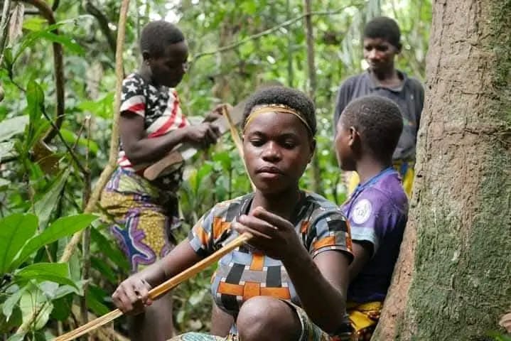 Centrafrique : Ndima-Kali, une organisation des Peuples autochtones image ndjima kali