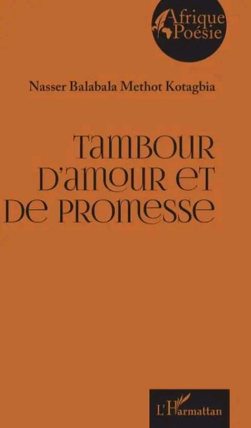 Un nouveau livre pour la littérature centrafricaine image roman2