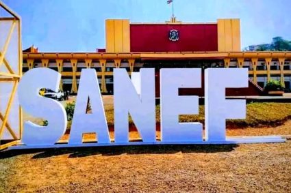 image sanef 3