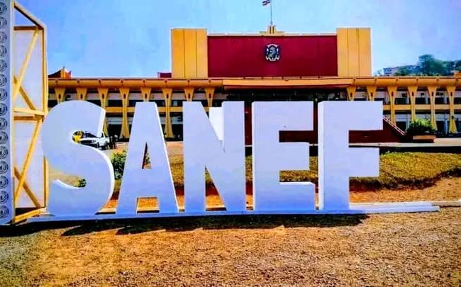image sanef 3