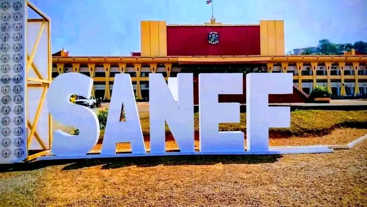 image sanef 3