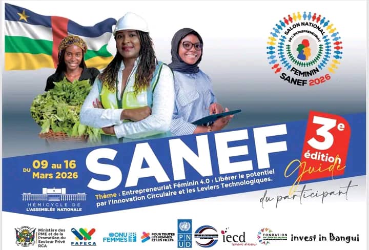 image sanef 4