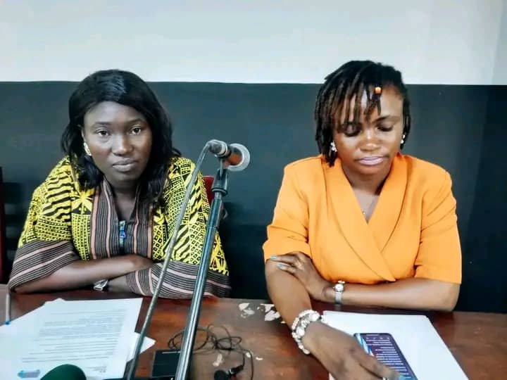 Centrafrique : lancement de la première édition du FIPECA pour promouvoir la protection de l’environnement image pannel fipeca