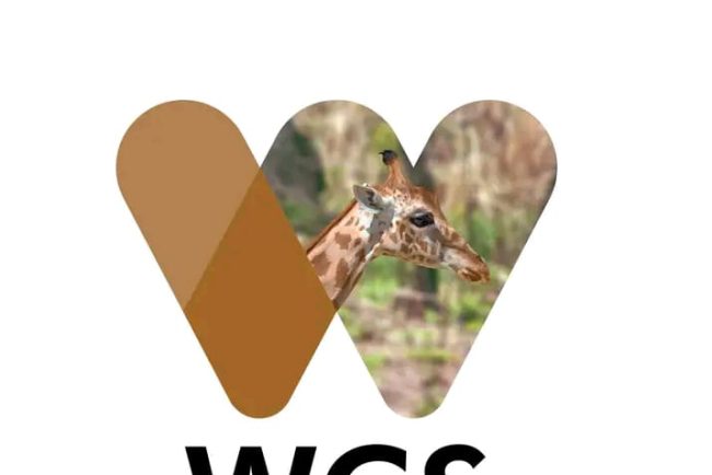 wcs