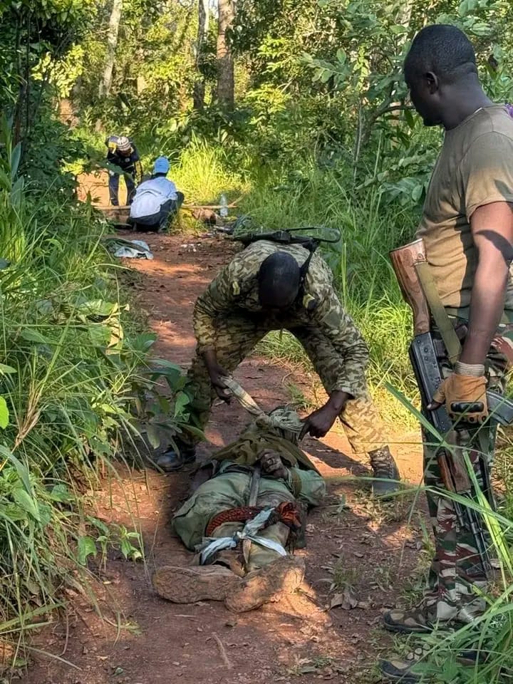 Centrafrique : un géologue suisse et un militaire des FACA retrouvés morts à Damara, ce que l’on sait faca